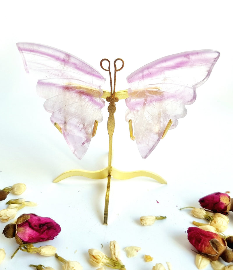 Fluorite Wings With Stand