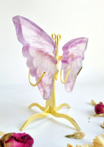 Fluorite Wings With Stand