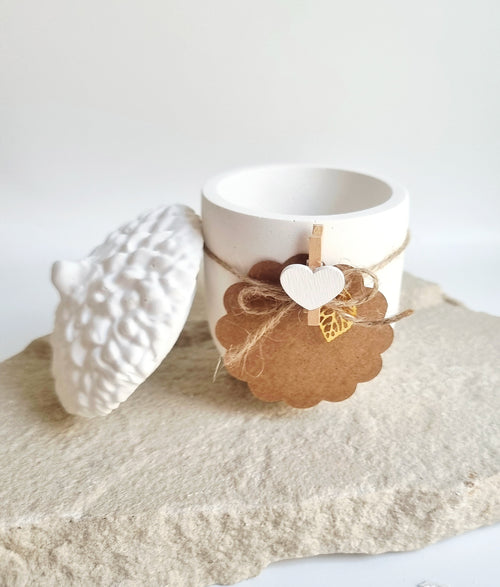 Acorn Sand Wax Candle Bundle