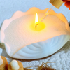 Sea Salt & Vanilla Fragrance Oil